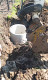 Servicii Excavator изображение 4